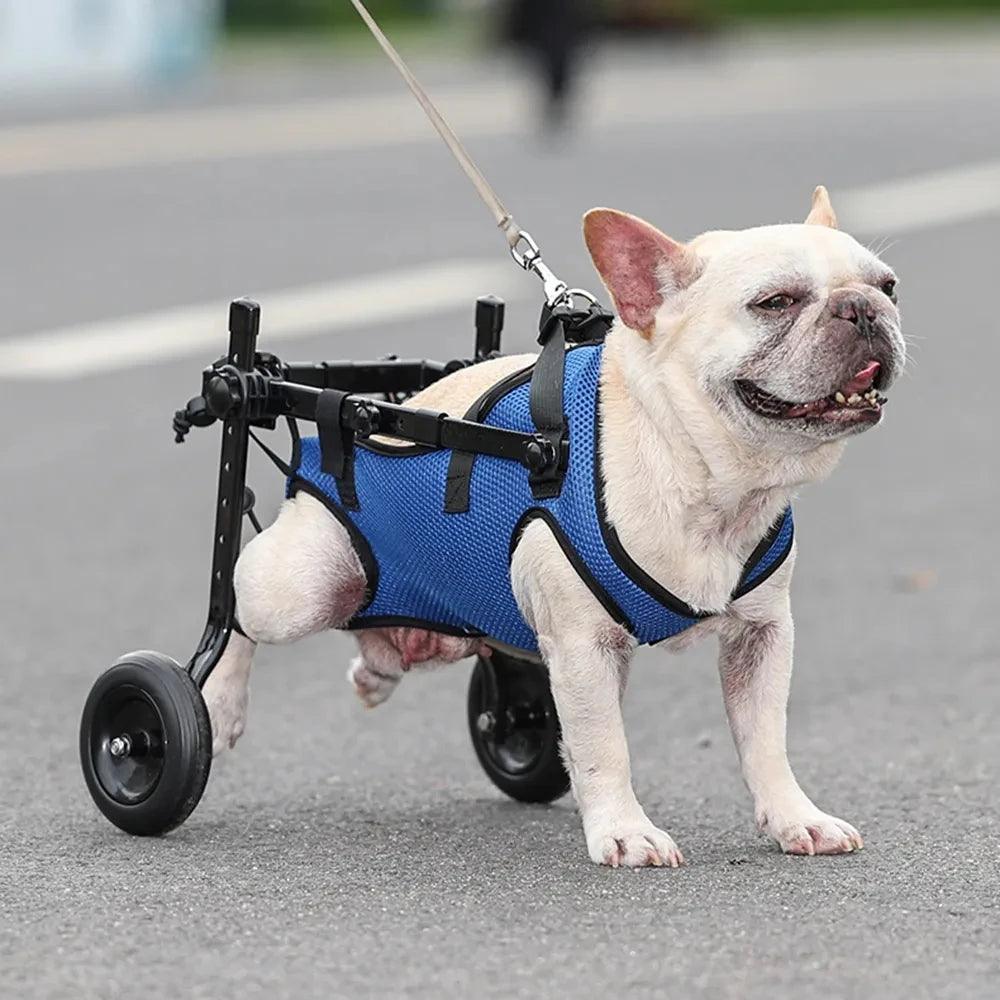 Wheelchair for Disabled Dog Cart Hind Legs Bracket Cat Dog Injured And Weak Rehabilitation Aid Car Adjustable Pet Walk Booster - Premium dog wheelchair from Lizard Vigilante - Just $62.99! Shop now at Lizard Vigilante