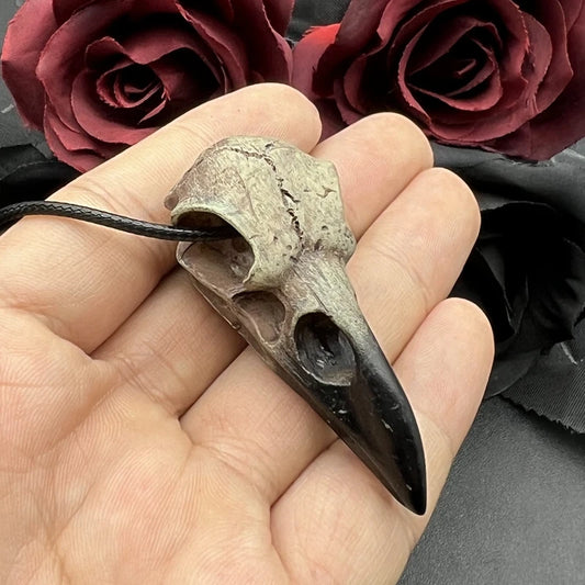 Skull Necklace 3D Goth Raven Resin Replica Raven Magpie Crow Gothic Gift Halloween Raven Skull Necklace - Premium necklace from Lizard Vigilante - Just $15.99! Shop now at Lizard Vigilante