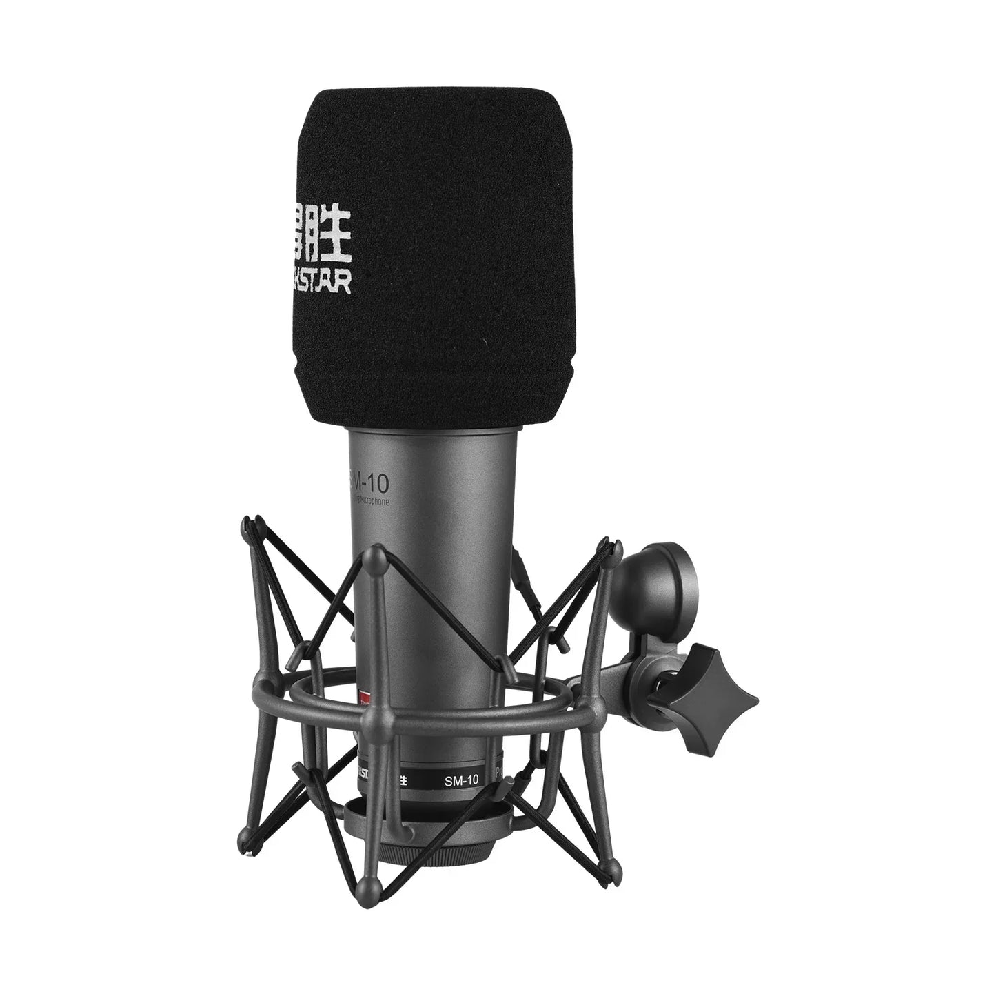 TAKSTAR SM-10 Pro Studio Microphone: Gold-Plated Diaphragm, Unidirectional Precision, Shock Mount, and Phantom Power - Premium Microphone from Lizard Vigilante - Just $188.99! Shop now at Lizard Vigilante