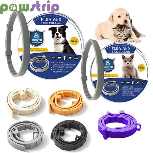 Pet Anti Flea Collar Adjustable Antiparasitic Cat Dog Necklace Portable Outdoor Anti-mosquito & Insect Repellent Pet Supplies - Premium flea collar from Lizard Vigilante - Just $13.99! Shop now at Lizard Vigilante