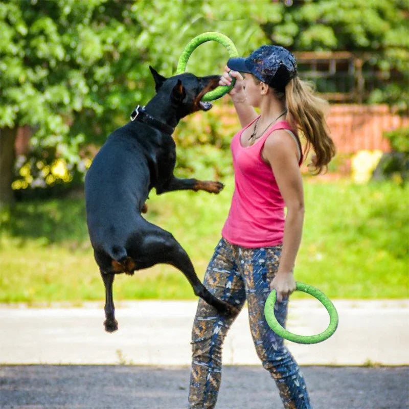 Dog Toys Pet Flying Discs EVA Dog Training Ring Puller Resistant Toys For Dogs Floating Puppy Bite Ring Toy Interactive - Lizard Vigilante