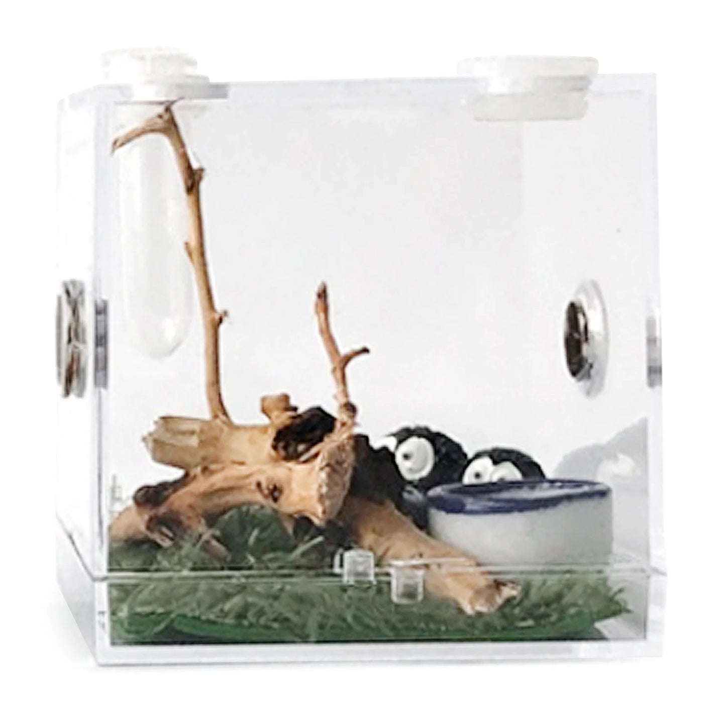 Reptile Breeding Box – Acrylic Terrarium Cage for Insects - Premium breeding box from Lizard Vigilante - Just $11.99! Shop now at Lizard Vigilante