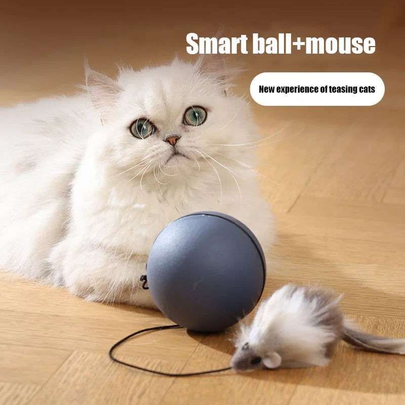 Kimpets Electric Mouse Teaser Ball – Fun Automatic Rolling Toy for Cats & Dogs - Premium cat toy from Lizard Vigilante - Just $19.88! Shop now at Lizard Vigilante