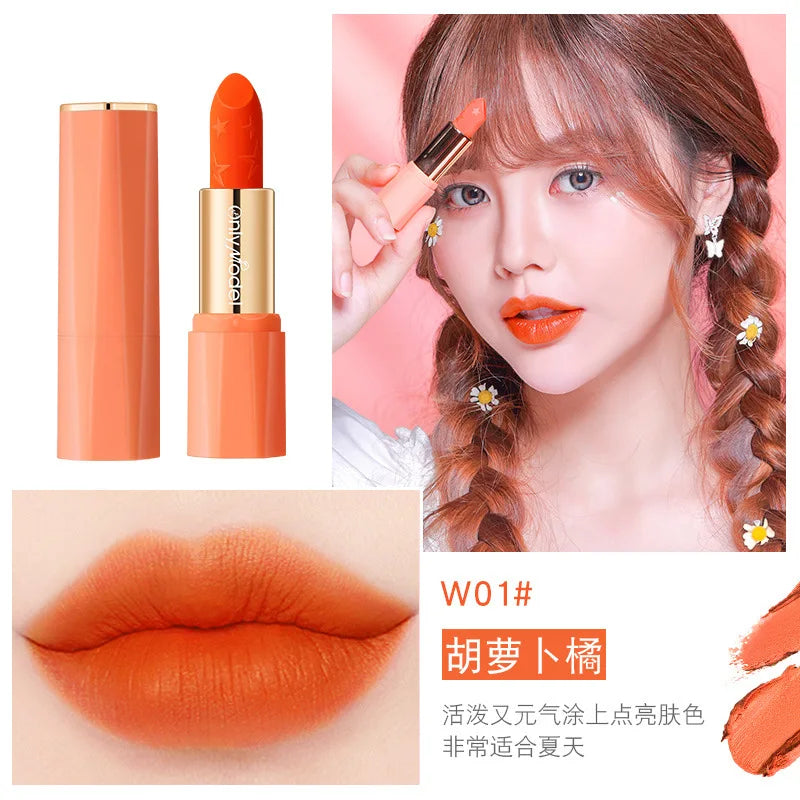 Orange Lipstick Waterproof Long Lasting Matte Lipsticks Resistant Lip Stick Velvet Lip Tint Women Cosmetic Sexy Lip Glaze Makeup
