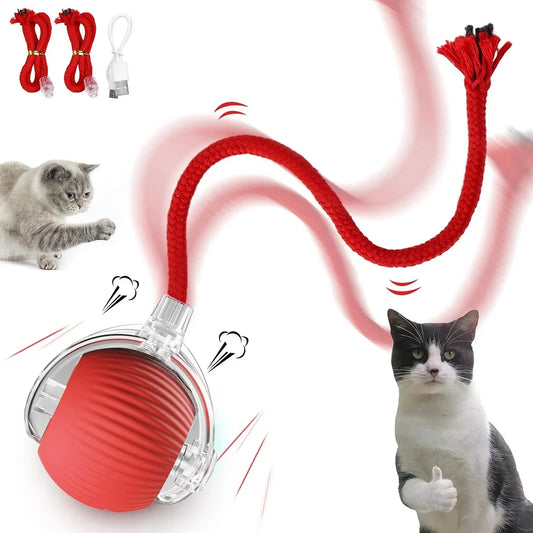 Interactive Cat Toy Rolling Ball - USB Rechargeable Smart Automatic Teaser for Cats and Kittens - Premium cat toy from Lizard Vigilante - Just $19.99! Shop now at Lizard Vigilante