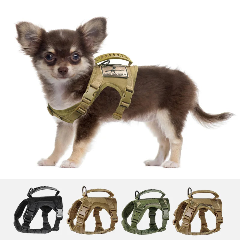 Chihuahua Tactical Dog Vest – XS Adjustable Military MOLLE Training Harness with Rubber Handle for Small Dogs - Premium dog vest from Lizard Vigilante - Just $29.99! Shop now at Lizard Vigilante