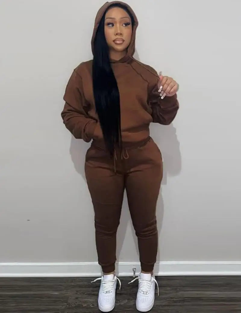 Women's Two-Piece Sweatsuit Set – Long Sleeve Hoodie Top and Jogger Pants Casual Tracksuit for Autumn & Winter - Premium sweatsuit from Lizard Vigilante - Just $58.88! Shop now at Lizard Vigilante