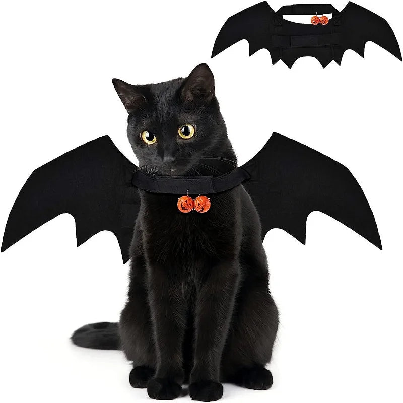 Fierce Fashion Cat Costume with Bat Wings – Perfect Pet Cosplay for Halloween & Festivals - Premium cat attire from Lizard Vigilante - Just $9.99! Shop now at Lizard Vigilante