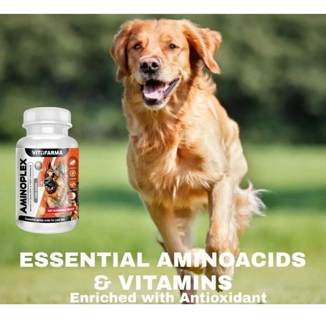 AMINOPLEX 30 Chew Muscle Builder & Vitamin Supplement for Dogs – Stress Relief, Immune Support, Muscle Mass & Energy Booster - Premium dog supplies from Lizard Vigilante - Just $88.88! Shop now at Lizard Vigilante