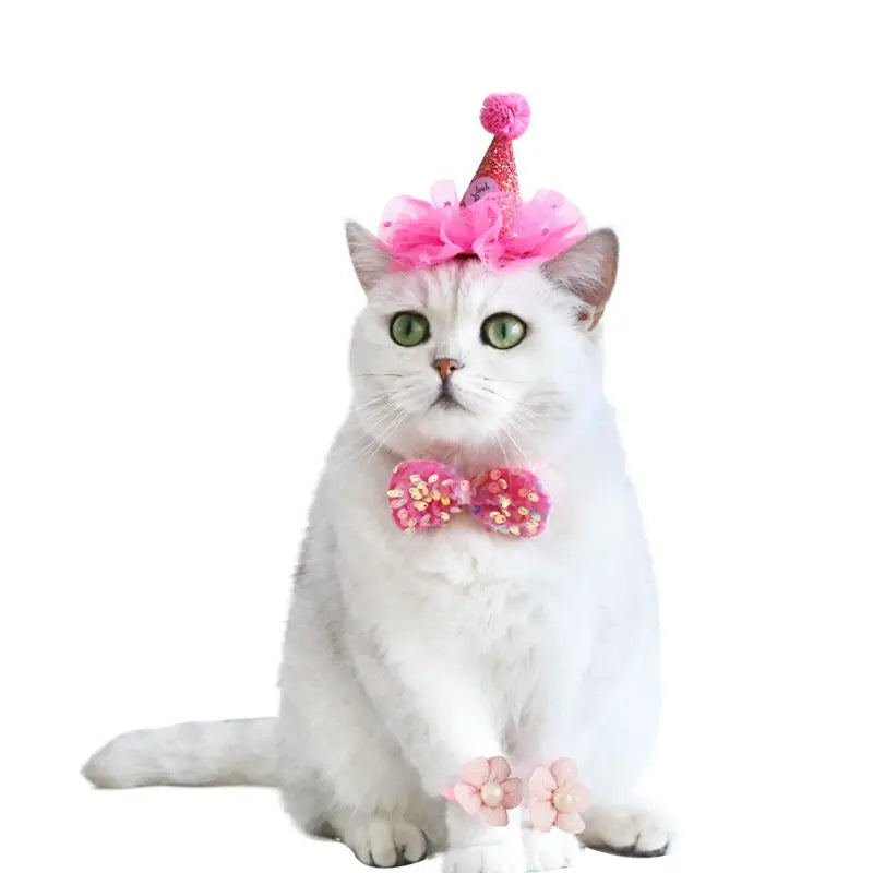Pet Dog Birthday Party Dog Hat Candy Color Dot Lace Cat Bib Suit Cute Small Medium Dogs Costume Cap Pet Products Accessories
