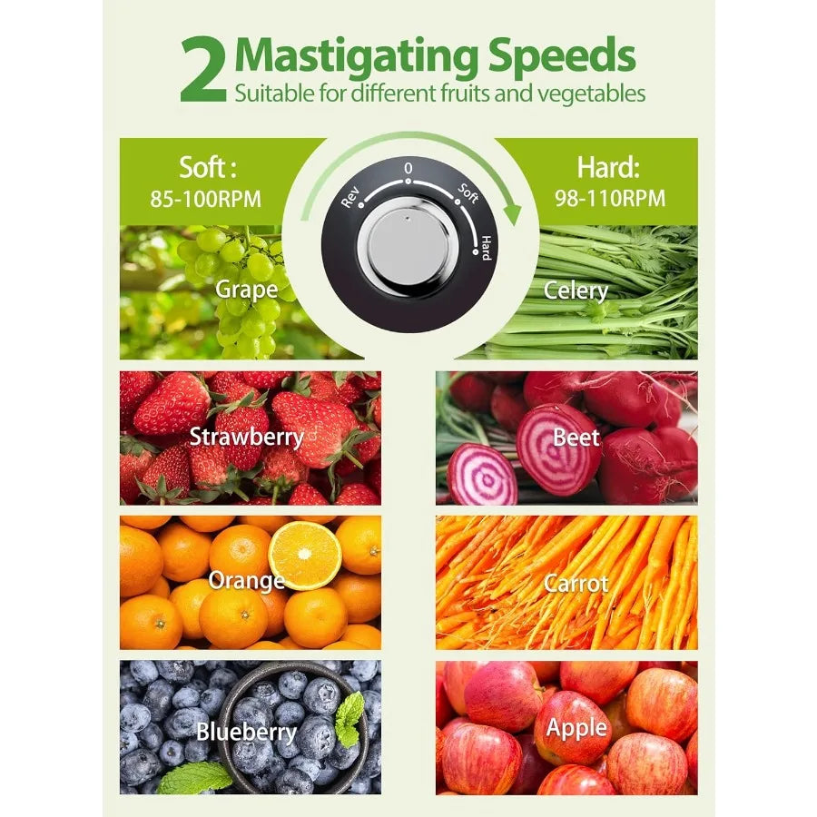 Classic horizontal cold press juicer with quiet motor designed for high juice yield easy to clean featuring soft and hard modes