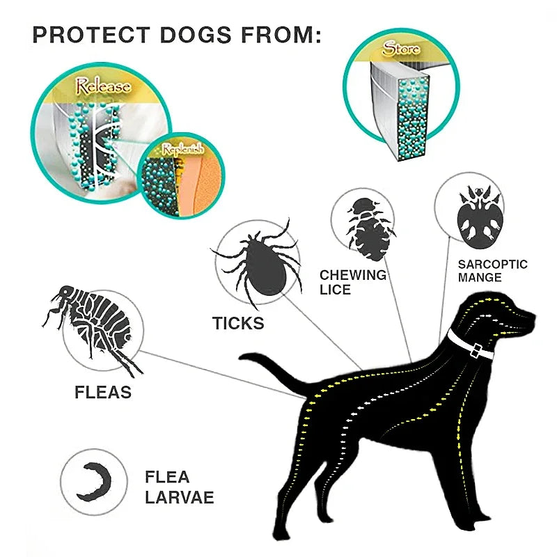 Easy to Use, 8-Month Protection Anti-Flea and Tick Collar for Dogs and Cats - Premium flea collar from Lizard Vigilante - Just $16.99! Shop now at Lizard Vigilante