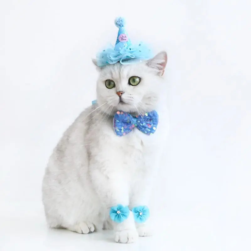 Pet Dog Birthday Party Dog Hat Candy Color Dot Lace Cat Bib Suit Cute Small Medium Dogs Costume Cap Pet Products Accessories
