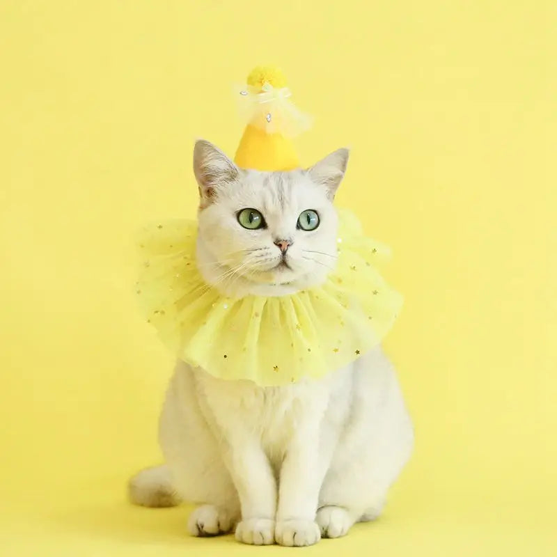 Pet Dog Birthday Party Dog Hat Candy Color Dot Lace Cat Bib Suit Cute Small Medium Dogs Costume Cap Pet Products Accessories