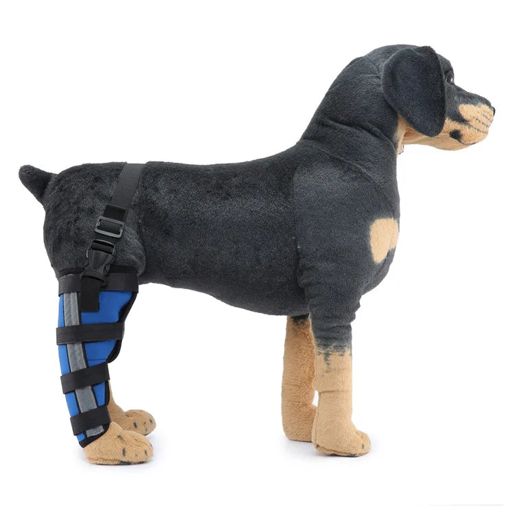 Pet Knee Pads – Breathable Support Brace for Dog Hock Joint Recovery - Premium Pet Knee Pads from Lizard Vigilante - Just $8.99! Shop now at Lizard Vigilante