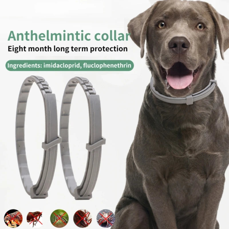 Dog Anti Flea And Ticks Cats 2/1PCS Collar Pet 8 Month Protection Retractable Pet Collars Suitable For Puppy Cat Dog Accessories - Premium flea collar from Lizard Vigilante - Just $12.99! Shop now at Lizard Vigilante