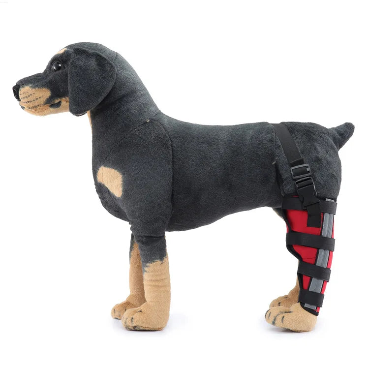 Pet Knee Pads – Breathable Support Brace for Dog Hock Joint Recovery - Premium Pet Knee Pads from Lizard Vigilante - Just $8.99! Shop now at Lizard Vigilante