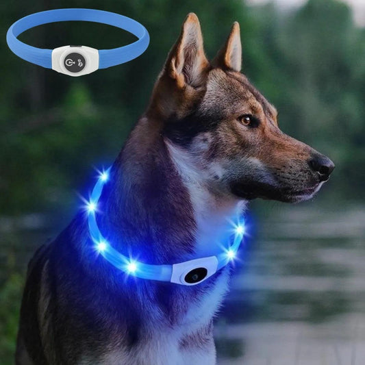 LED Luminous Waterproof Dog Collar For Large Medium Small Dogs Collar Usb Night Light Safety Pet Glowing Accessories - Lizard Vigilante