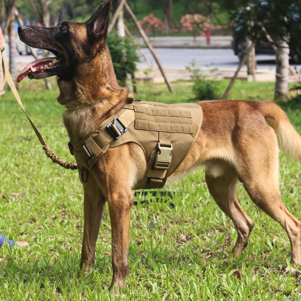 Battle-Ready K9 Vest & Leash Set – Street Armor For Power Dogs