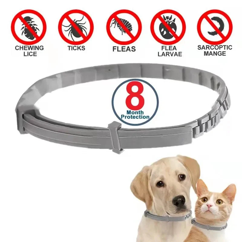 Easy to Use, 8-Month Protection Anti-Flea and Tick Collar for Dogs and Cats - Premium flea collar from Lizard Vigilante - Just $16.99! Shop now at Lizard Vigilante