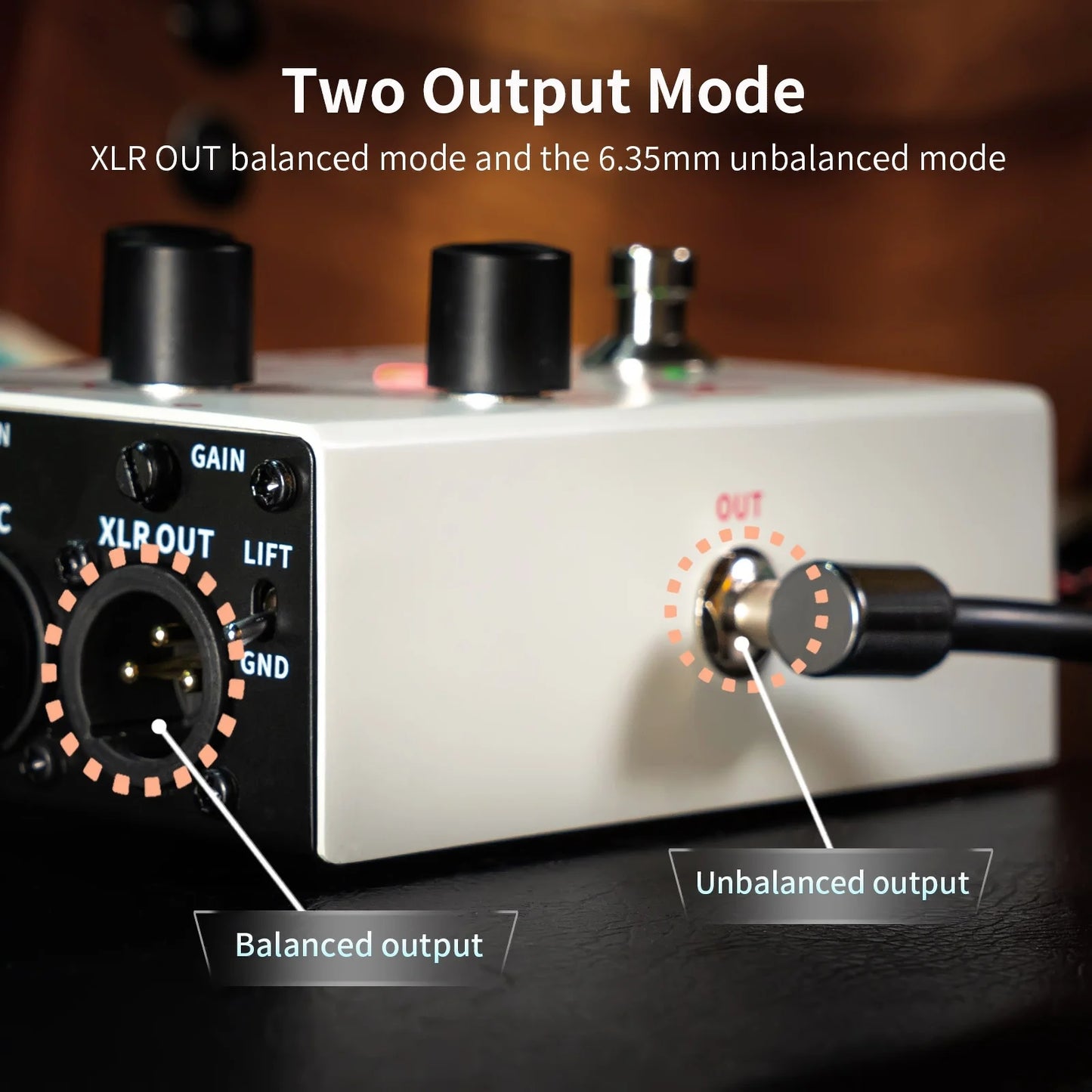 FLAMMA FV05 Recorder Vocal Guitar Effects Pedal 70 Minutes Recording Capacity Noise Gate & Reverb Effects for the Vocal