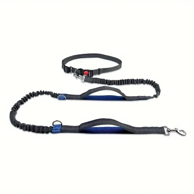 Reflective High-Visibility Hands-Free Elastic Running Belt Dog Leash | Durable Jogging and Hiking Pet Lead with Metal D-Ring Harness - Premium dog leash from Lizard Vigilante - Just $23.88! Shop now at Lizard Vigilante