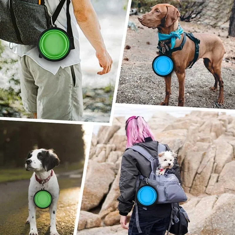 Pet Folding Silicone Bowl Collapsible Dog Food Bowl Water Large Outdoor Pet Travel Bowl Portable Puppy Food Container Feeder - Premium pet supplies from Lizard Vigilante - Just $9.99! Shop now at Lizard Vigilante