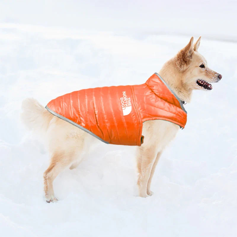 Double Sided Dog Coat Winter Warm Pet Dog Clothes For Small Medium Dogs Vest Chihuahua Clothing Soft Puppy Costumes Ropa Perro