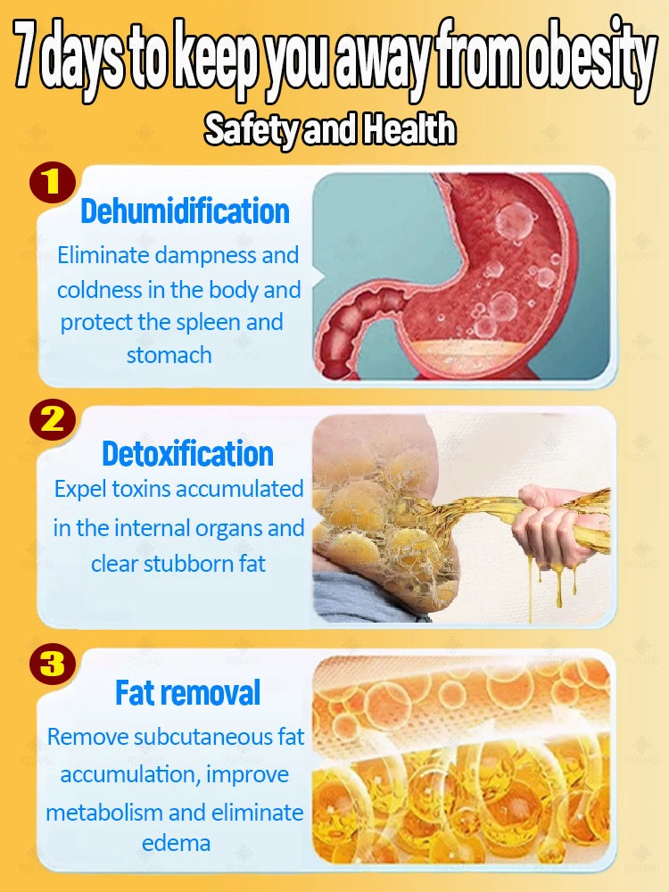 ᔆˡⁱᵐᵐⁱⁿᵍ ᵖᵃᵗᶜʰᵉˢ ᵗᵒ ᵇᵘʳⁿ ᶠᵃᵗ ᵃⁿᵈ ʳᵉᵈᵘᶜᵉ ᵇᵉˡˡʸ ᶠᵃᵗ - Premium  from Lizard Vigilante - Just $39.99! Shop now at Lizard Vigilante