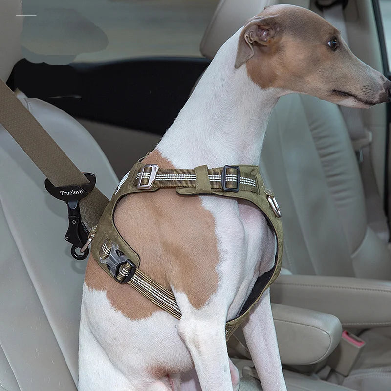 Winhyepet Pet Safety Car Seat Belt Buckle Clip Dog Accessories Items for Collar Harness,Locking Snap Seat Belts for All Vehicles - Premium dog supplies from Lizard Vigilante - Just $28.89! Shop now at Lizard Vigilante