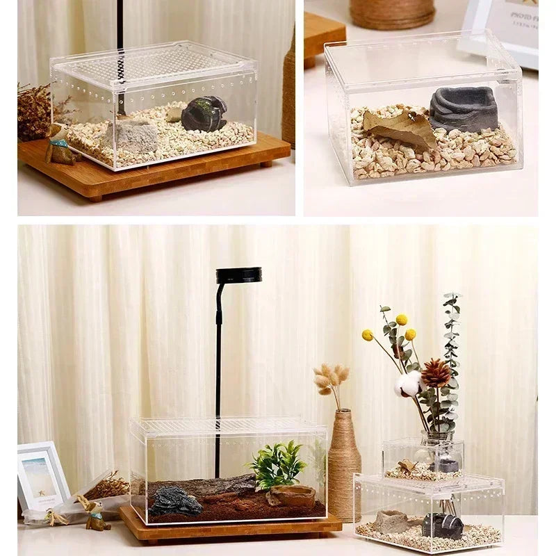 Reptile Breeding Box Transparent Acrylic Spider Lizard Amphibian Terrarium Leak-proof Pet Habitat Arboreal Tarantula Enclosure - Premium pet supplies from Lizard Vigilante - Just $29.99! Shop now at Lizard Vigilante