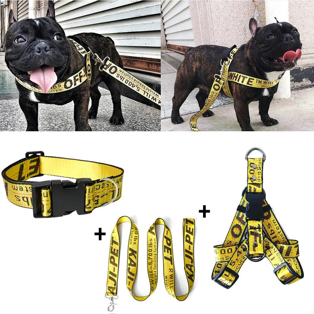 Fashion Dog Collar Leash Set Gold Chain Nylon Pets Dog Collar Leash Long Rope Lettered Collar Perro Collar For Pitbull Puppy Dog - Premium dog product from Lizard Vigilante - Just $17.99! Shop now at Lizard Vigilante