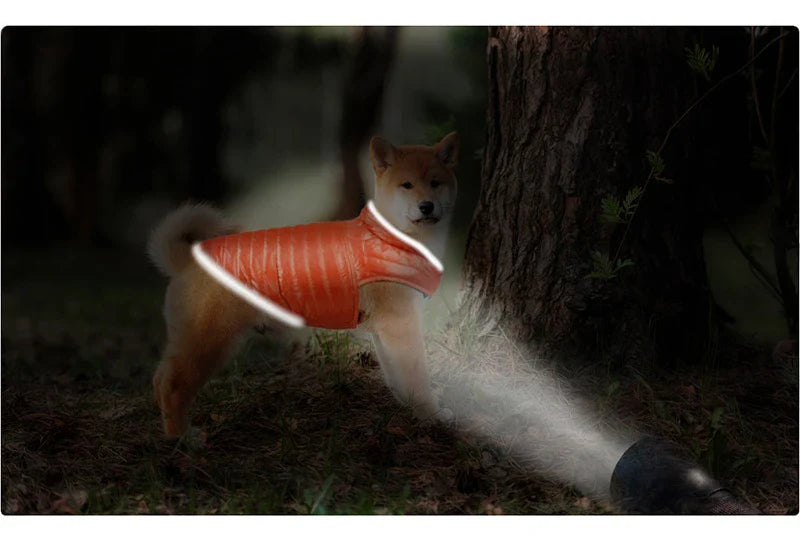 Double Sided Dog Coat Winter Warm Pet Dog Clothes For Small Medium Dogs Vest Chihuahua Clothing Soft Puppy Costumes Ropa Perro