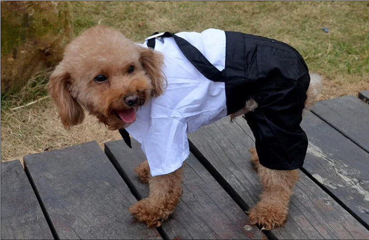 Dog Tuxedo Dog Suit Puppy Pet Tuxedo Wedding Party Costume Dog Prince Bow Tie Shirt Formal Dog Weeding Attire Dogs Cats Clothes - Premium  from Lizard Vigilante - Just $6.99! Shop now at Lizard Vigilante