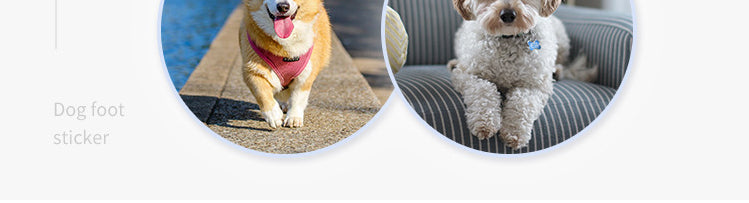 4PCS Dog Anti Slip Pad Breathable Foot Pad Disposable Pet Foots Mat Prevent Slip Waterproof Protector Avoid Dogs Slipping