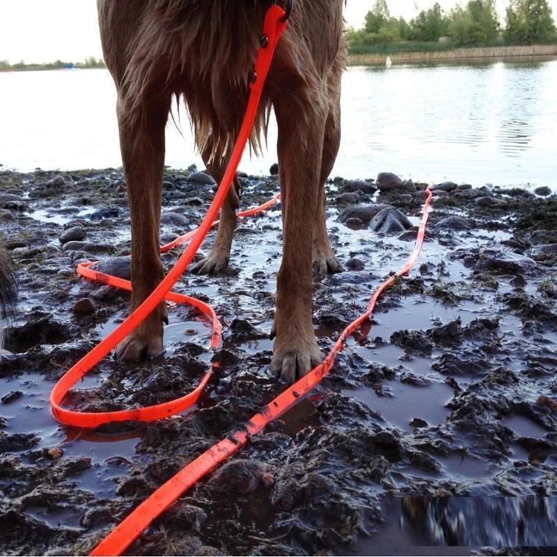 Waterproof Dog Leash Long Pvc Pet Leashes Easy To Clean Rope for Small Medium Large Big Dogs Walking Traning Lead 3m 5m10m 15m - Premium pet leash from Lizard Vigilante - Just $16.99! Shop now at Lizard Vigilante