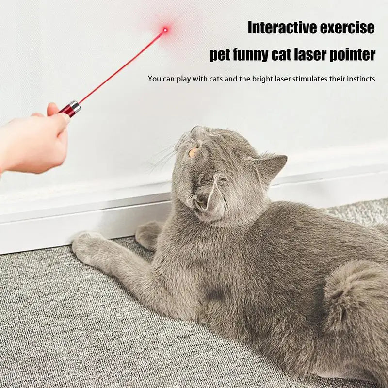 Ultimate Cat Laser Pointer Toy – Interactive Laser Teaser for Cats, Portable Pet Exercise and Enrichment Tool for Indoor Play - Premium  from Lizard Vigilante - Just $12.88! Shop now at Lizard Vigilante