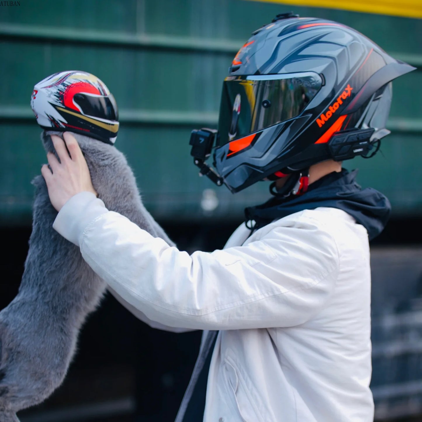 DIY Pet Helmets,Cat Helmet,Dog Helmet-Outdoor Mini Head Protecting Safe Hat,Pet Photo Props Accessorie,Mini Motorcycle Helmet - Premium pet helmet from Lizard Vigilante - Just $42.99! Shop now at Lizard Vigilante