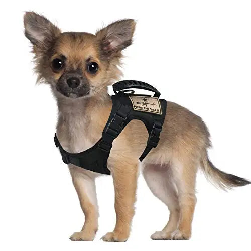 Chihuahua Tactical Dog Vest – XS Adjustable Military MOLLE Training Harness with Rubber Handle for Small Dogs - Premium dog vest from Lizard Vigilante - Just $29.99! Shop now at Lizard Vigilante