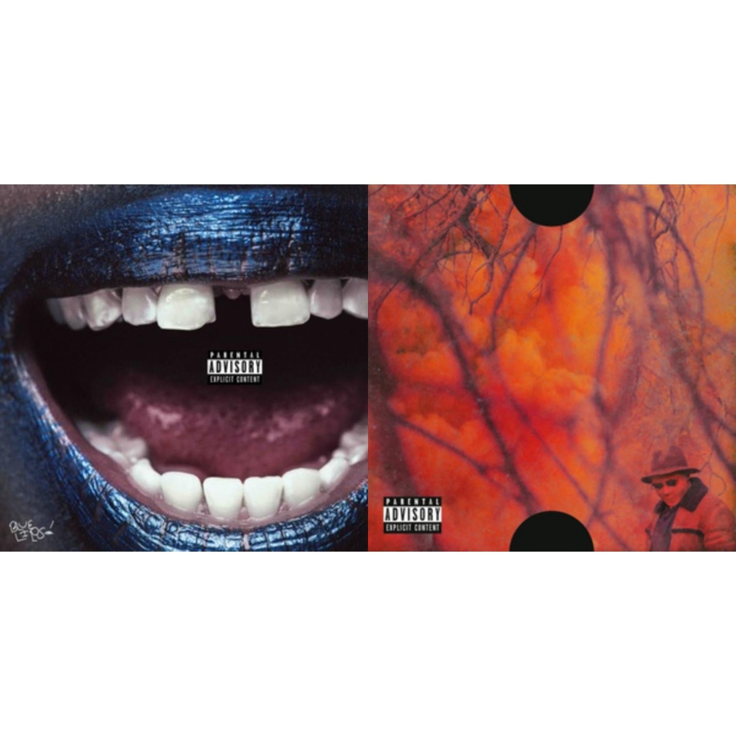 Blue Lips (X) (Translucent Blue Vinyl/2LP) & Blank Face LP (Ex)