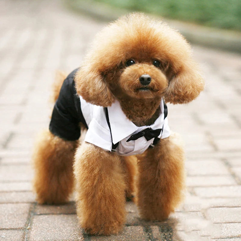 Dog Tuxedo Dog Suit Puppy Pet Tuxedo Wedding Party Costume Dog Prince Bow Tie Shirt Formal Dog Weeding Attire Dogs Cats Clothes - Premium  from Lizard Vigilante - Just $6.99! Shop now at Lizard Vigilante