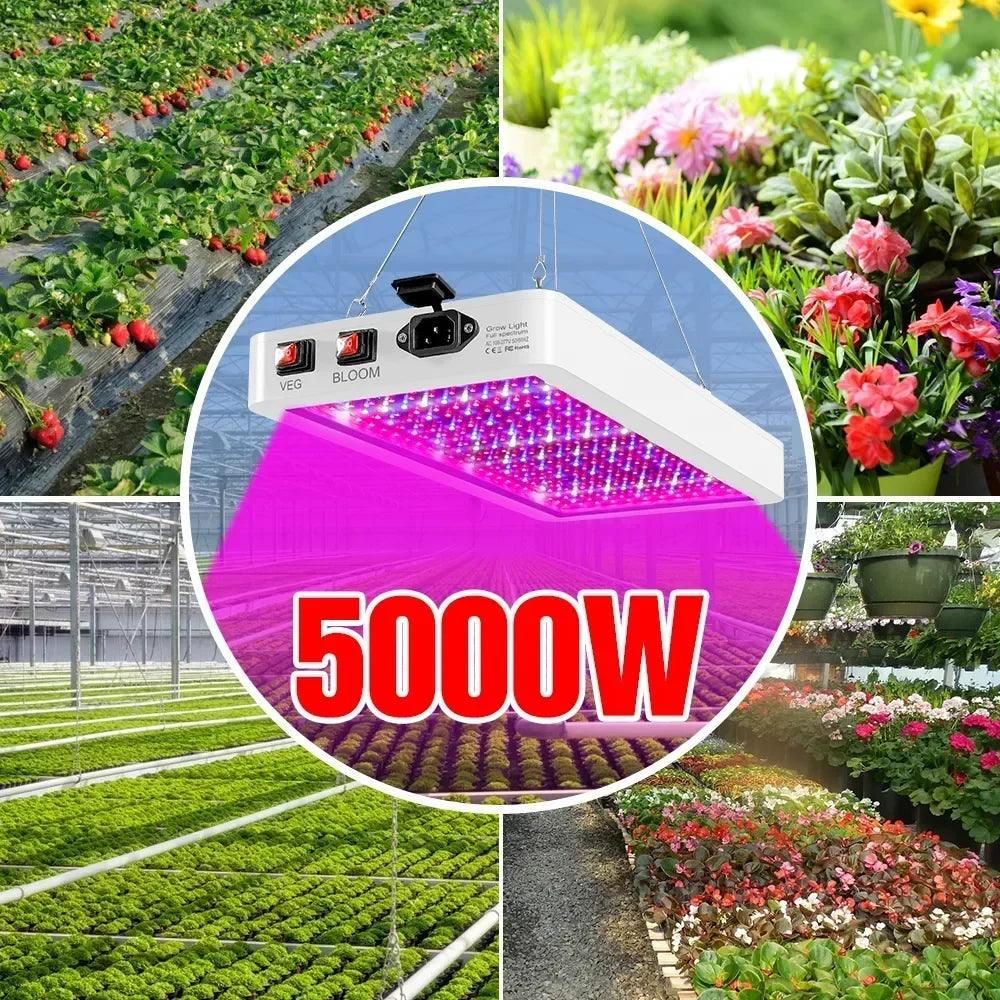 Newest 4000/5000W Full Spectrum LED Growing Light IP65 Plant Bulbs Hydroponic Lamp Greenhouse Lamps Flower Growth Lighting Box - Lizard Vigilante