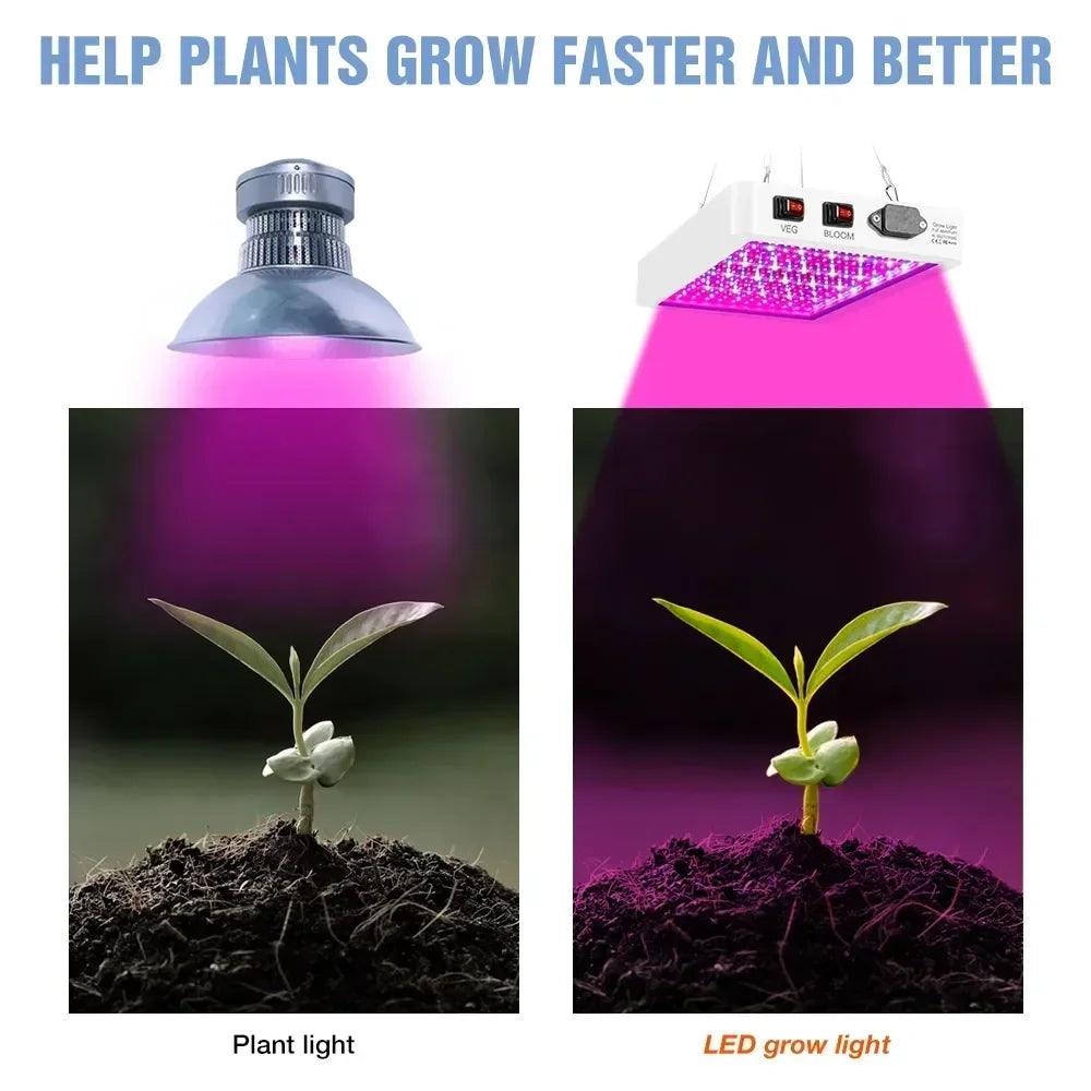 Newest 4000/5000W Full Spectrum LED Growing Light IP65 Plant Bulbs Hydroponic Lamp Greenhouse Lamps Flower Growth Lighting Box - Lizard Vigilante