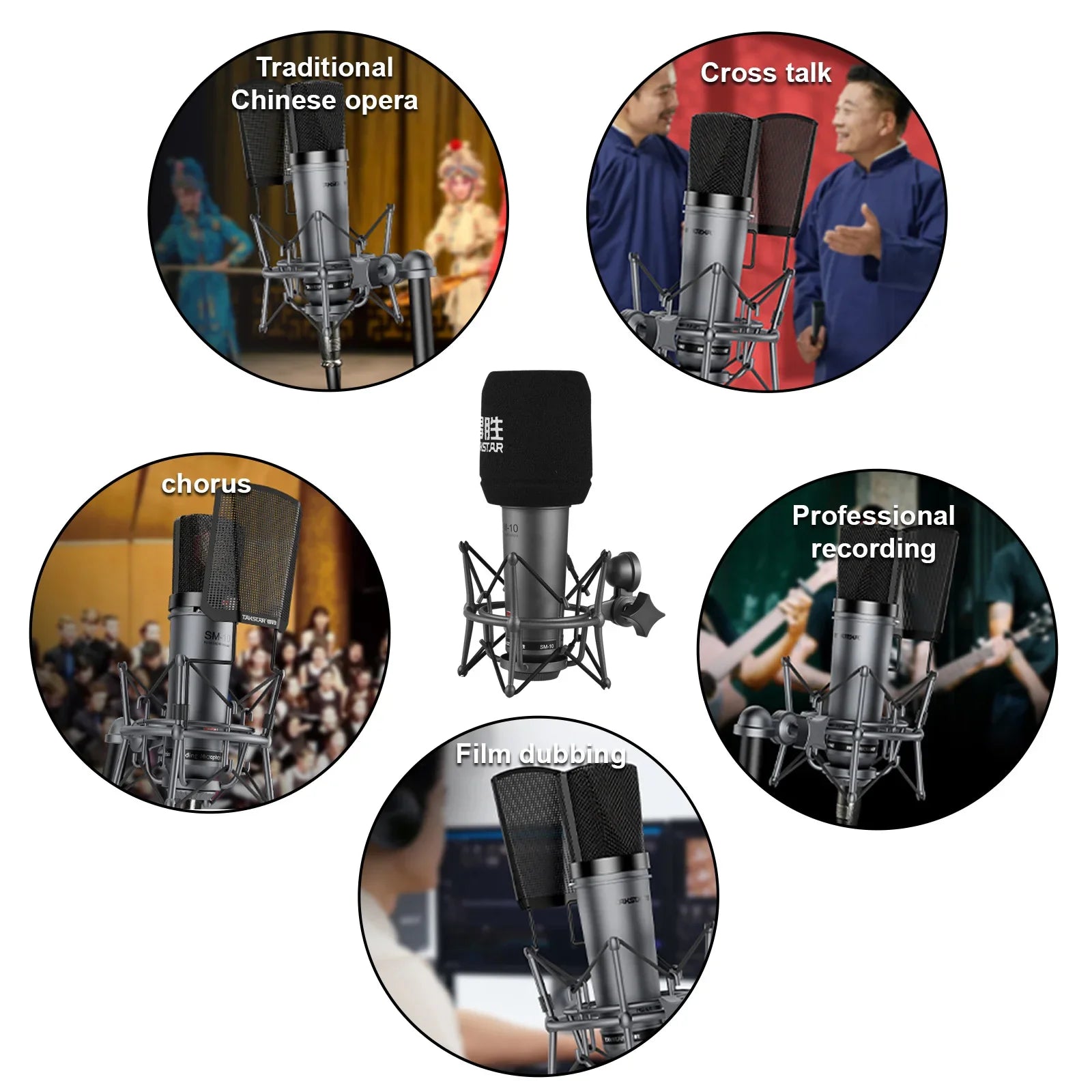 TAKSTAR SM-10 Pro Studio Microphone: Gold-Plated Diaphragm, Unidirectional Precision, Shock Mount, and Phantom Power - Premium Microphone from Lizard Vigilante - Just $188.99! Shop now at Lizard Vigilante