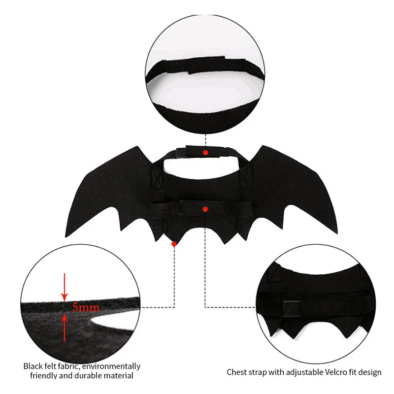 Fierce Fashion Cat Costume with Bat Wings – Perfect Pet Cosplay for Halloween & Festivals - Premium cat attire from Lizard Vigilante - Just $9.99! Shop now at Lizard Vigilante