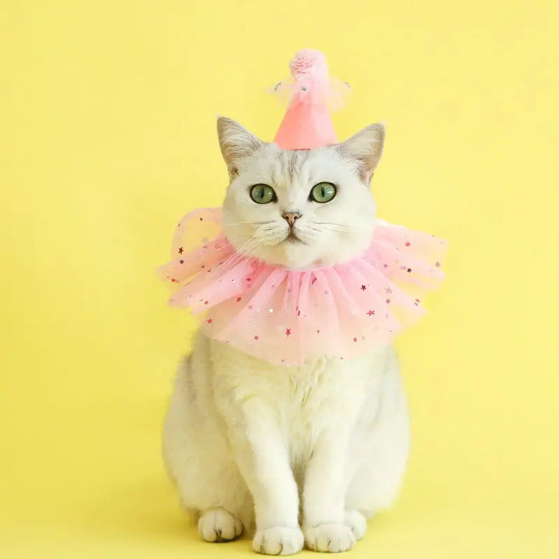 Pet Dog Birthday Party Dog Hat Candy Color Dot Lace Cat Bib Suit Cute Small Medium Dogs Costume Cap Pet Products Accessories