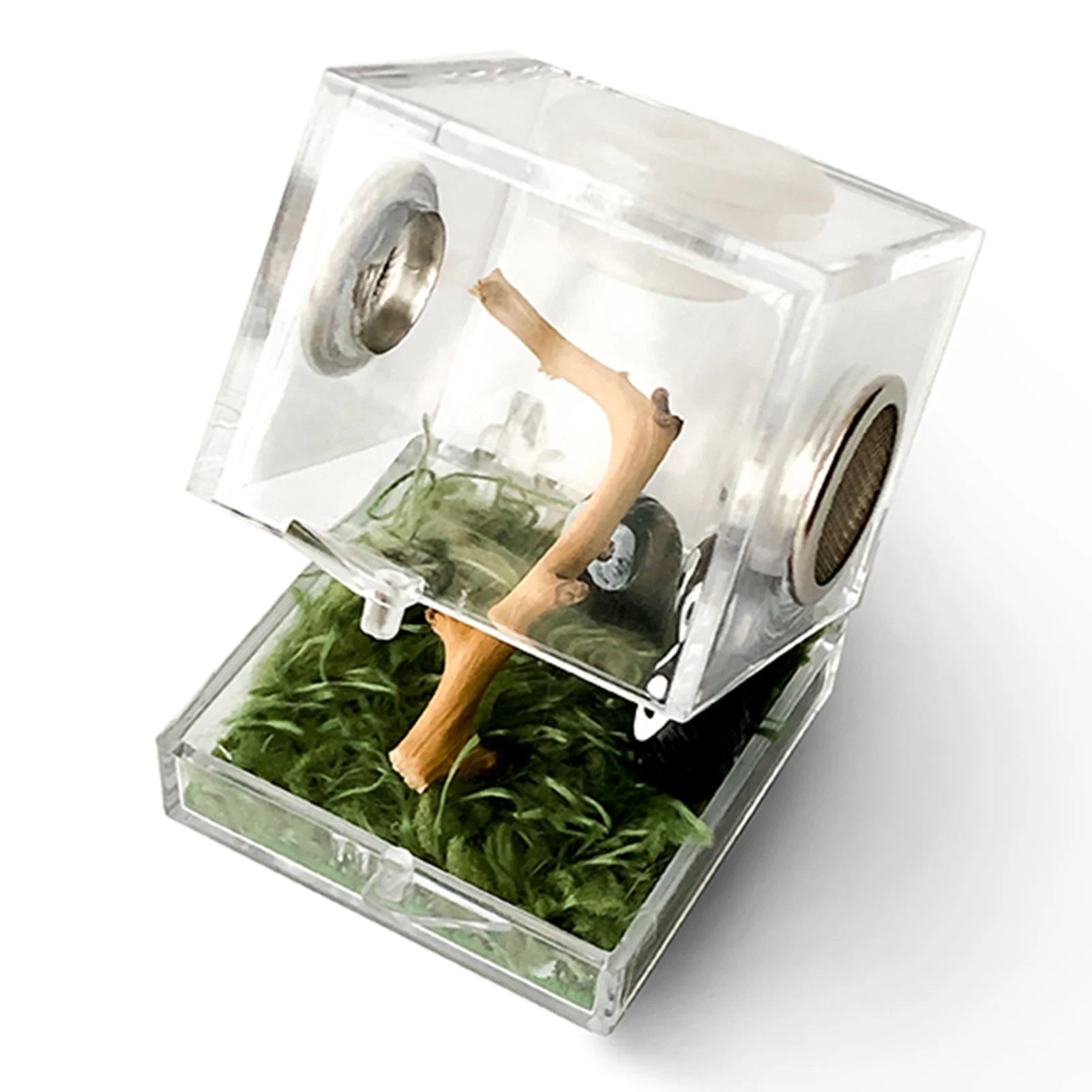 Reptile Breeding Box – Acrylic Terrarium Cage for Insects - Premium breeding box from Lizard Vigilante - Just $11.99! Shop now at Lizard Vigilante