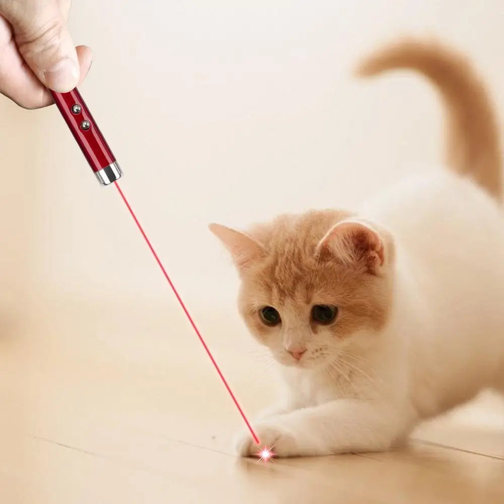 Ultimate Cat Laser Pointer Toy – Interactive Laser Teaser for Cats, Portable Pet Exercise and Enrichment Tool for Indoor Play - Premium  from Lizard Vigilante - Just $12.88! Shop now at Lizard Vigilante