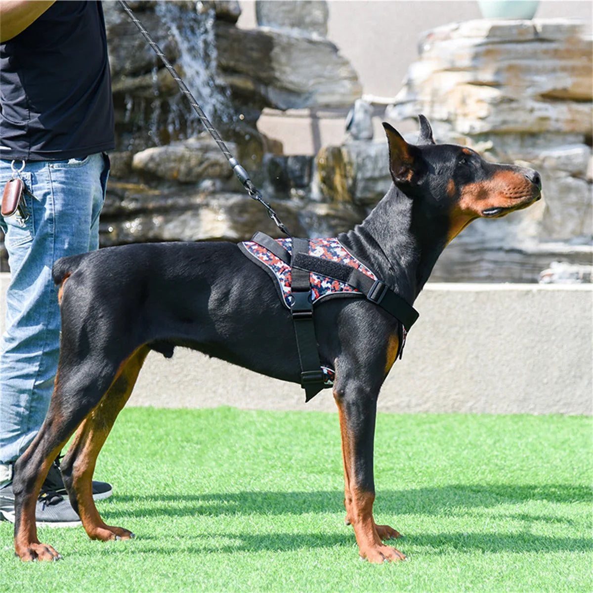 Reflective Chest Dog Harness for Dogs No Pull Dog Breathable Vest Adjustable Puppy Harness Pet Supplies - Premium dog harness from Lizard Vigilante - Just $22.99! Shop now at Lizard Vigilante