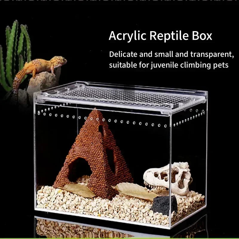 Reptile Breeding Box Transparent Acrylic Spider Lizard Amphibian Terrarium Leak-proof Pet Habitat Arboreal Tarantula Enclosure - Premium pet supplies from Lizard Vigilante - Just $29.99! Shop now at Lizard Vigilante